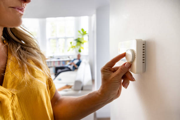Best Furnace Cleaning in Oronoco, MN